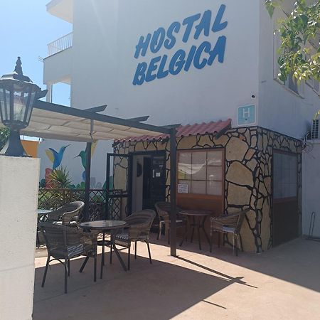 Hostal Belgica Palmanova Eksteriør billede